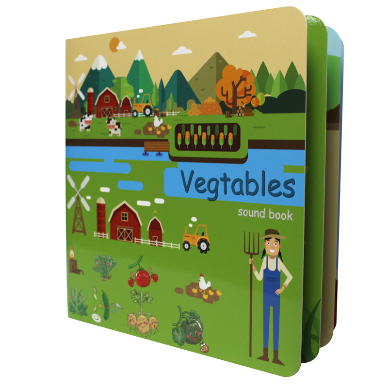 Kids Education Story - Aangepaste bordboeken voor baby's Engels Kleuren