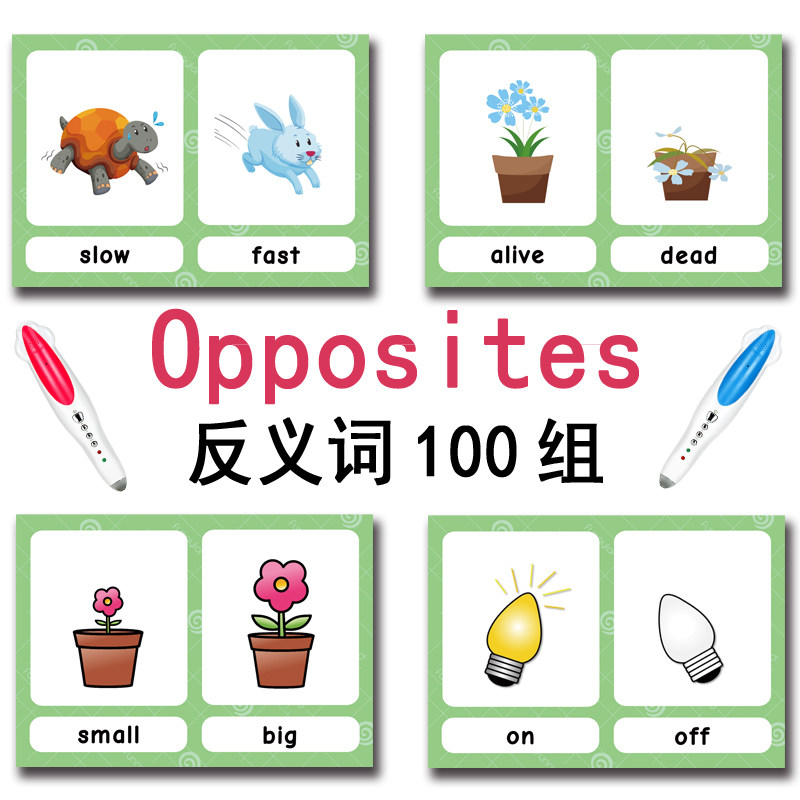 De 100 Groepen Tegenstellingen - Kids Education Card recensie en prijs