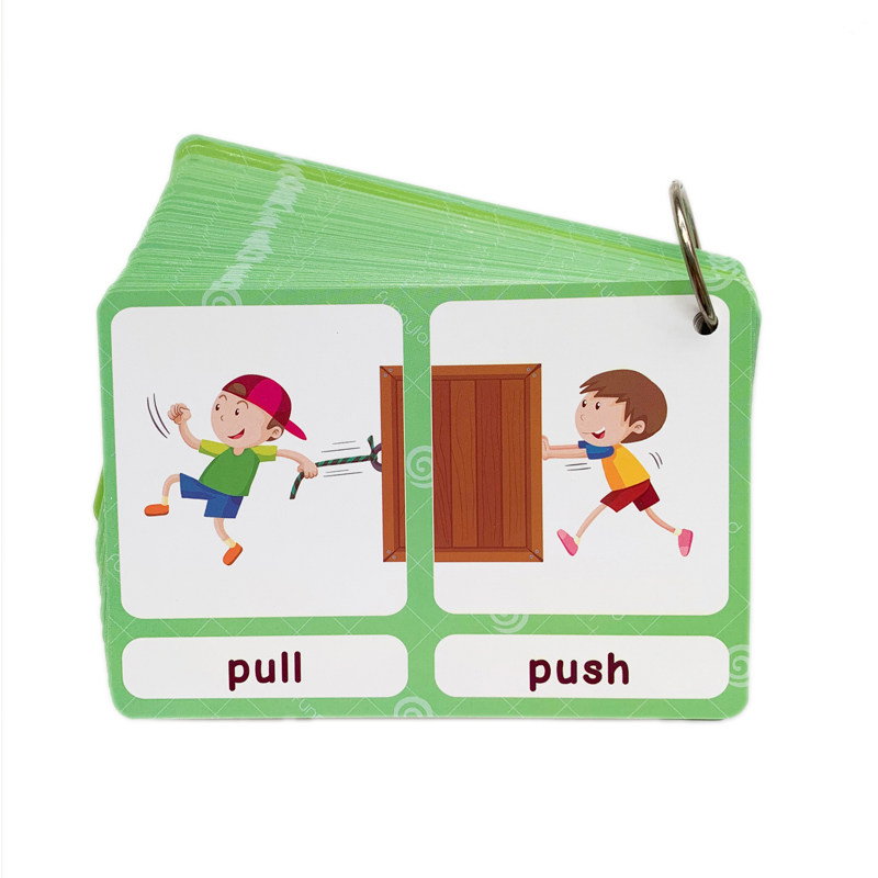 De 100 Groepen Tegenstellingen - Kids Education Card recensie en prijs