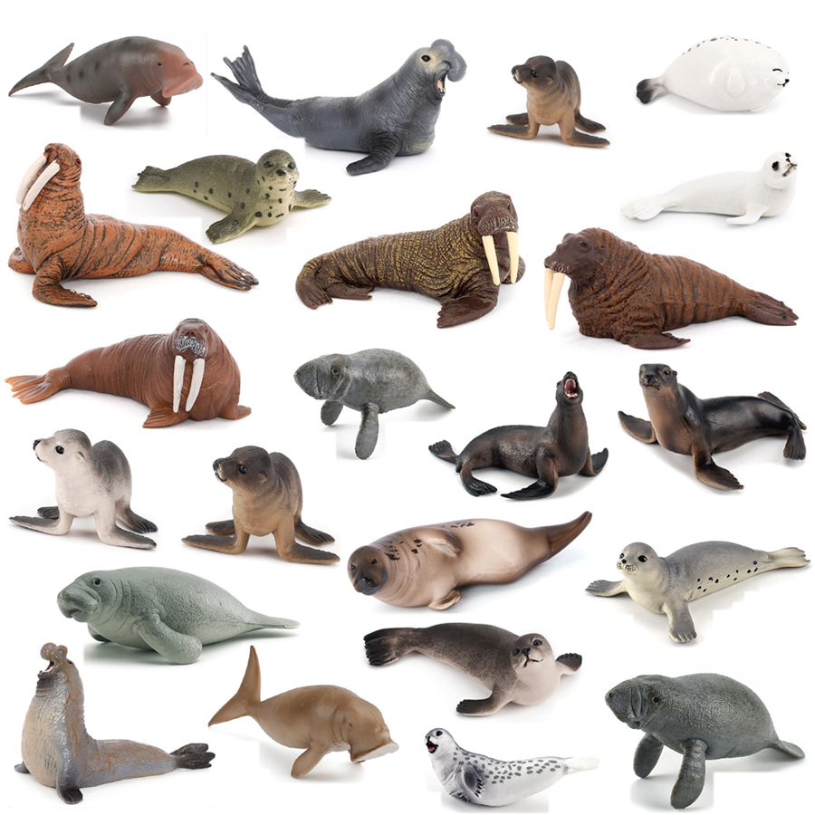 Realistische Dugong Manatee Wa - Kids Education Fun recensie en prijs
