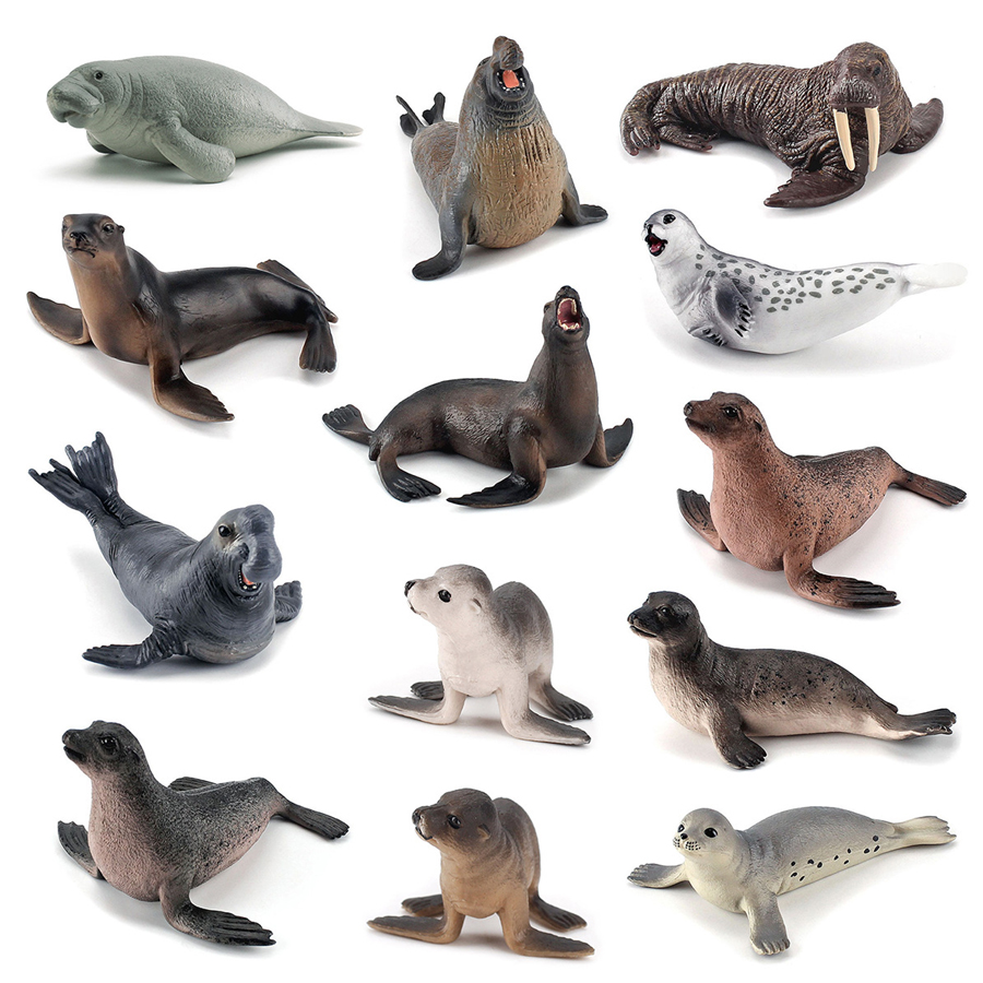 Realistische Dugong Manatee Wa - Kids Education Fun recensie en prijs